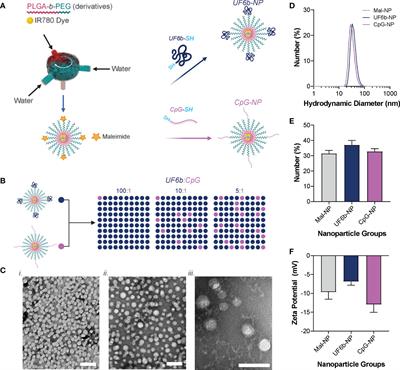 Immunopotentiation by Lymph-Node Targeting of a Malaria <mark class="highlighted">Transmission-Blocking</mark> Nanovaccine